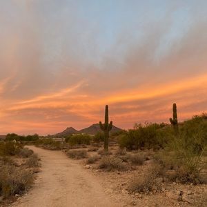 Meet your Posher, Pav